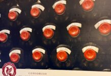 Anteprima Nobile 2026: il racconto di un territorio che prende voce IMG_2648